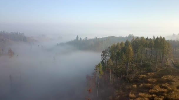 Vista Aerea Della Campagna Dell Alba Autunnale Paesaggio Tradizionale Autunnale — Video Stock