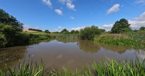 Timelapse Moving Clouds Small Frozen Pond Czech Highland Vysocina European — Wideo stockowe