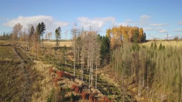 Aerial View Autumn Sunrise Countryside Traditional Fall Landscape Rising Sun — Stockvideo