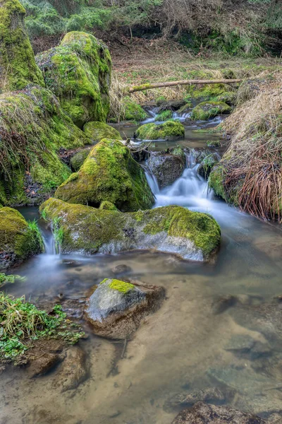 Pequeno Riacho Florestal Uma Floresta Foto Exposição Longa Vysocina Highland — Fotografia de Stock