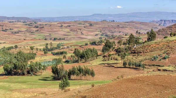 Piękny Krajobraz Górski Tradycyjnymi Domami Etiopskimi Dolinie Etiopia Afryka — Zdjęcie stockowe