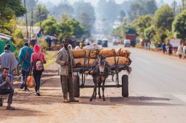DEMEBECHA, ETHIOPIA, APRIL 20.2019, Etiyopya caddesinde sabah yürüyen insanlar, önünde eşek arabası olan bir adam var. Demebecha, Etiyopya, 20 Nisan. 2019