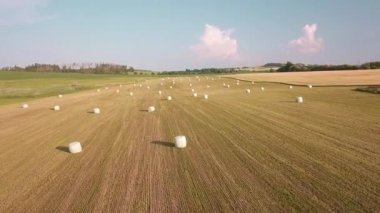 Akşam güneşinde hasat edilen saman balyaları, tarım tarım konsepti, Çek Cumhuriyeti, Orta Avrupa sonbahar manzarası