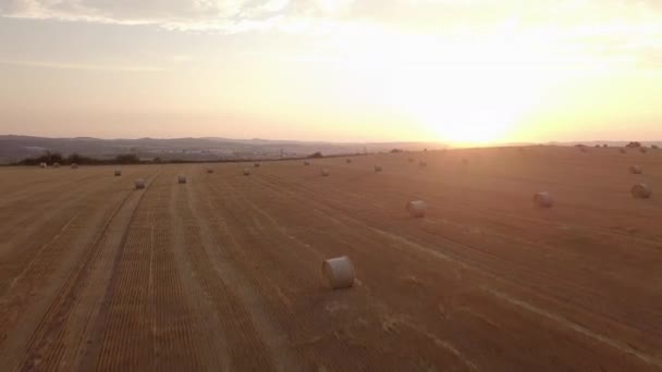 Vista Aérea Del Campo Cosechado Con Pacas Paja Puesta Del — Vídeos de Stock