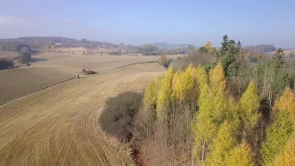 Pandangan Udara Pedesaan Musim Gugur Tradisional Jatuh Lanskap Eropa Tengah — Stok Video