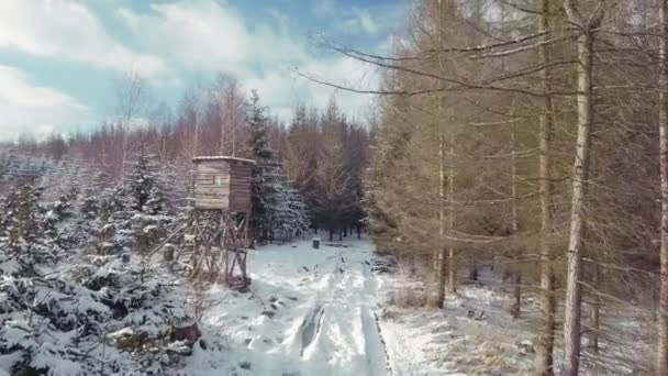Кинематографический Полет Зимнем Лесу Охотничьей Башней Ледяные Деревья Покрытые Снегом — стоковое видео
