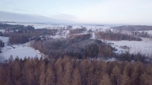 Flyg Över Vackra Vinterskogar Granfrostiga Träd Täckta Med Snö Vinternatur — Stockvideo