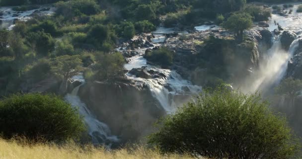 非常に美しいエプパの滝 アンゴラとナミビアの国境にあるクーネン川によって作られた一連の大きな滝 アンゴラのモンテ ネグロ滝とも呼ばれる 荒野の風景 — ストック動画