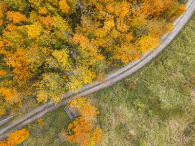 Sonbahar kırsal manzarası orman yolu, kuş gözünden geleneksel sonbahar manzarası. Çek Cumhuriyeti, Vysocina yaylası, Orta Avrupa