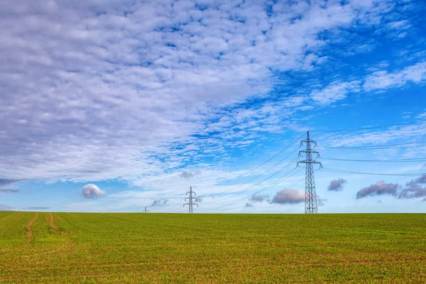 青い空に対して電界中の高電圧電源ライン 秋の季節 ヨーロッパ チェコ共和国 — ストック写真