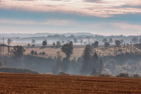 Mlhavá Mlhavá Podzimní Krajina Siluetou Stromu Mlze Při Východu Slunce — Stock fotografie