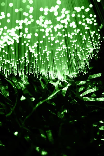 Fondo de fibra óptica con muchos puntos de luz — Foto de Stock