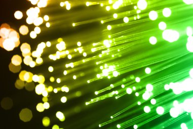 Fiber optik