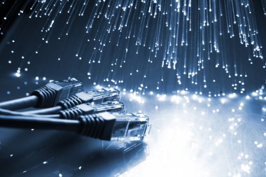 Fiber optik