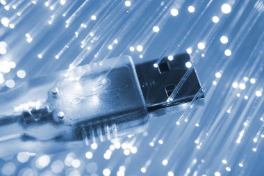 Fiber optik