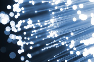 Fiber optik