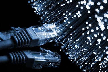 Fiber optik