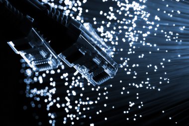 Fiber optik
