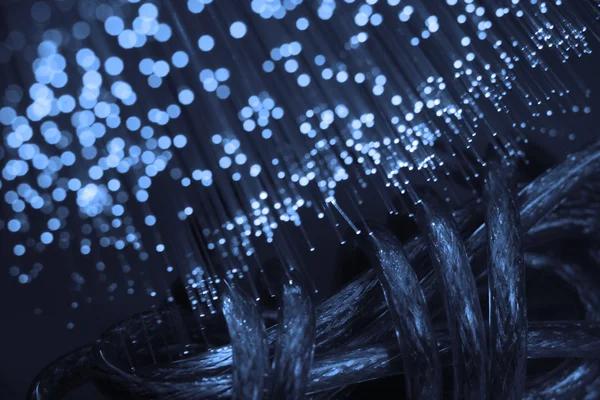 Fibre Optical — Stock Photo, Image