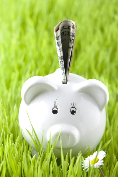 Piggy bank on grass with money — Stock Photo, Image