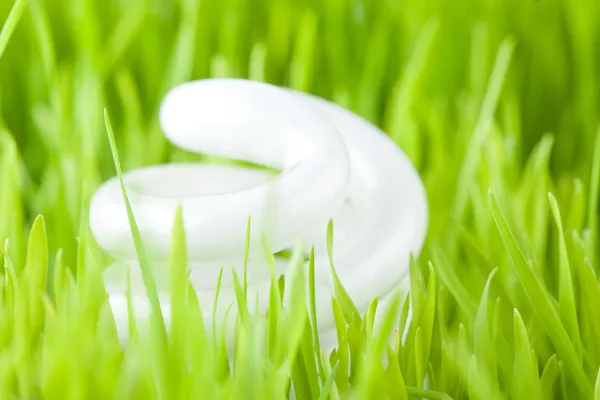 Light bulb on a fresh grass — Stock Photo, Image