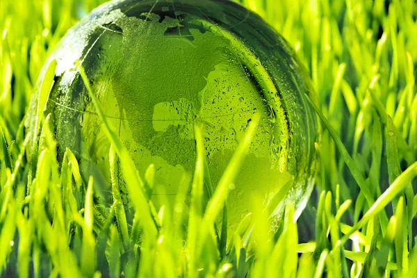 Glas aarde in gras — Stockfoto