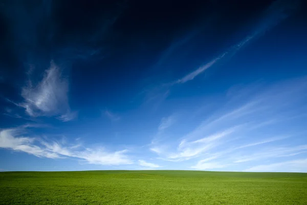 Grünes Gras und blauer Himmel — Stockfoto