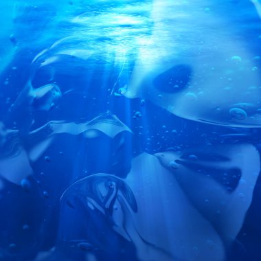 Underwater clipart
