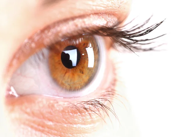 Frauenauge mit langen Wimpern. Raum für Text. — Stockfoto