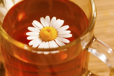 Papatya çiçekli bir fincan bitki çayı.