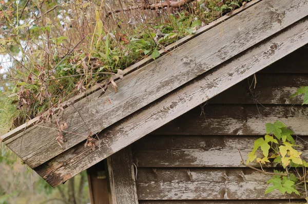 Turf-Roofed building — Stock Photo, Image