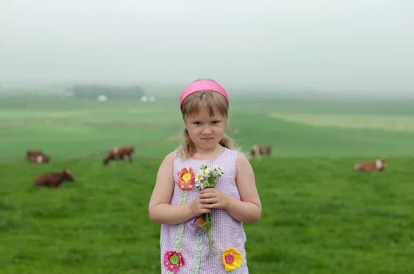 Девушка и коровы на заднем плане — стоковое фото
