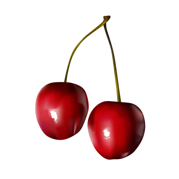Zwei rote Kirschen — Stockfoto