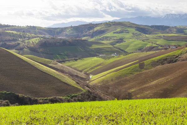 Rolling hills of Italy — Stock Photo, Image