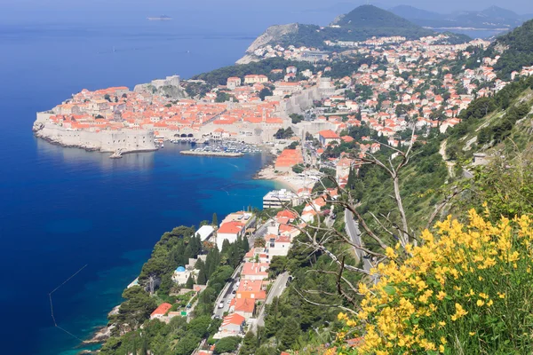 Dubrovnik Cidade Velha — Fotografia de Stock