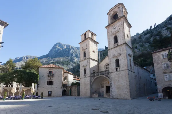 Kotor Cathedral Royalty Free Stock Images