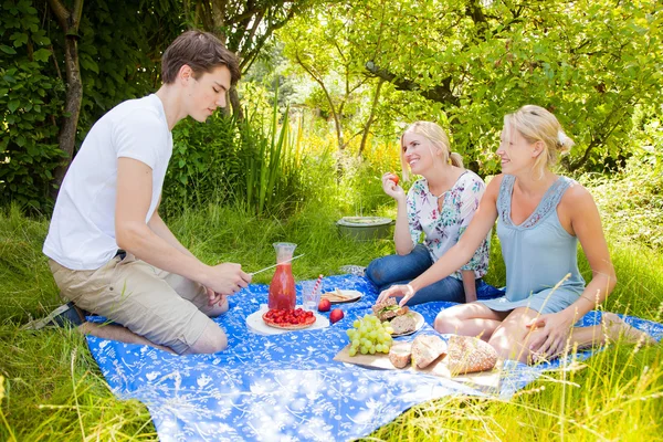 Zomerpicknick — Stockfoto