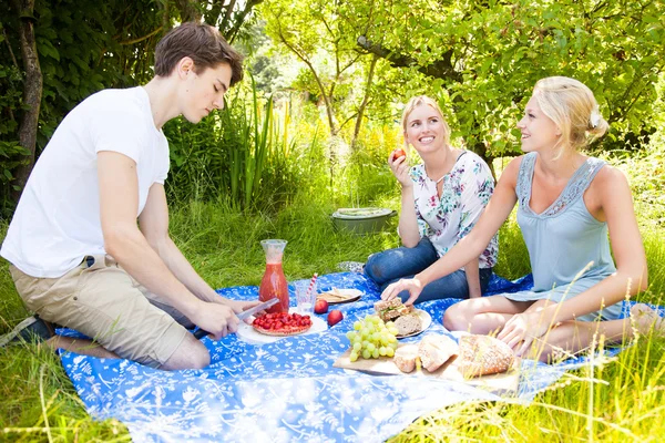 Amici che fanno un picnic — Foto Stock