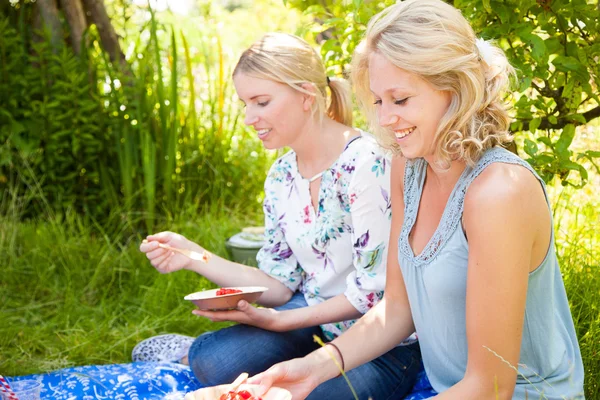 Picnic all'aperto — Foto Stock