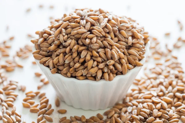 Spelt grains — Stock Photo, Image