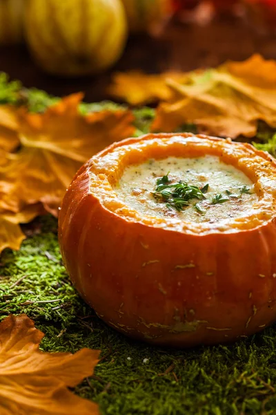 Sopa de outono com abóbora — Fotografia de Stock