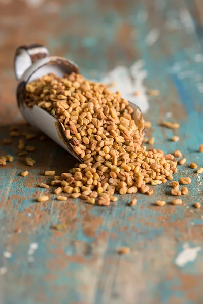 Fenugreek spices — Stock Photo, Image