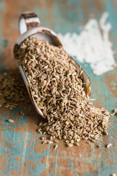 Closeup of anis seeds — Stock Photo, Image