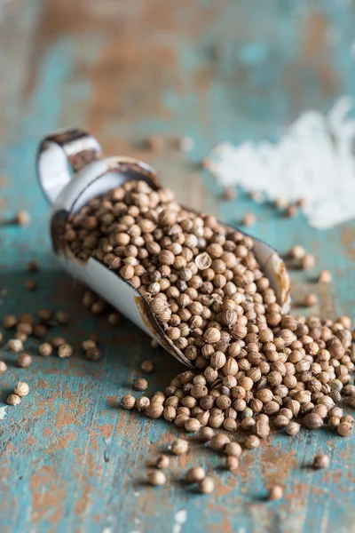 Coriander seeds — Stock Photo, Image