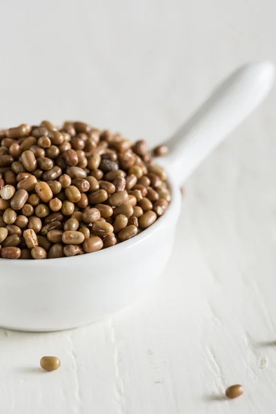 Closeup of moth beans — Stock Photo, Image