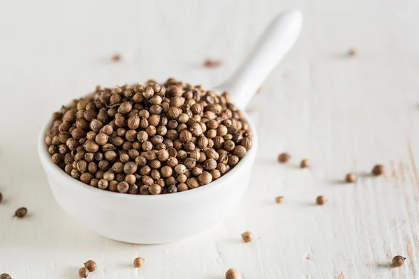 Coriander seeds — Stock Photo, Image