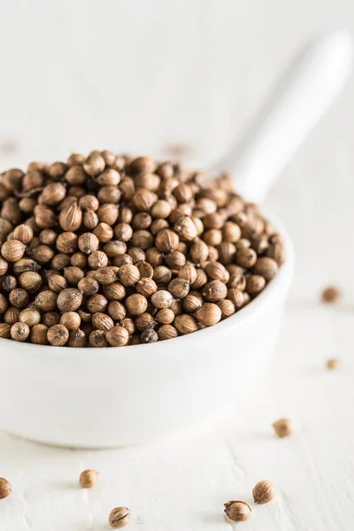 Coriander seeds — Stock Photo, Image