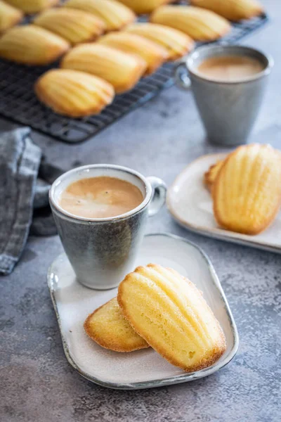 Dos Tazas Café Con Madelinas Recién Hechas Fondo Más Madelinas —  Fotos de Stock