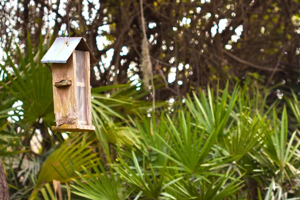鳥の家 — ストック写真