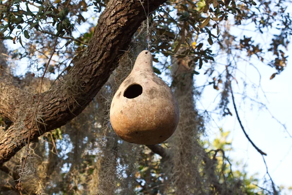 Bird's house — Stock Photo, Image